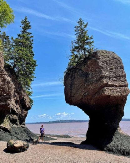 The Hopewell Rocks – một địa điểm du lịch nổi tiếng tại Canada