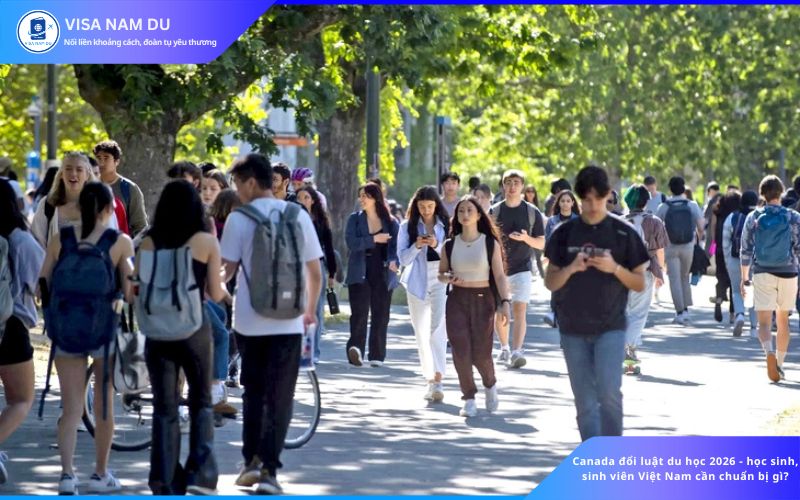 Canada đổi luật du học 2026 – học sinh, sinh viên Việt Nam cần chuẩn bị gì?
