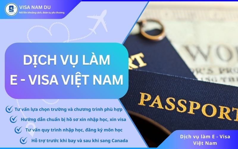 Dịch vụ làm E-visa Việt Nam