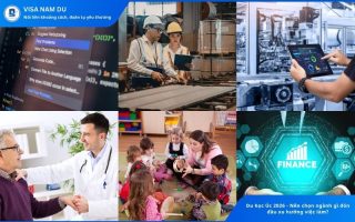 Du học Úc 2026 nên chọn ngành gì đón đầu xu hướng việc làm