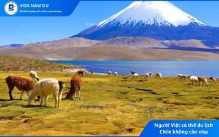 Người Việt có thể du lịch Chile không cần visa