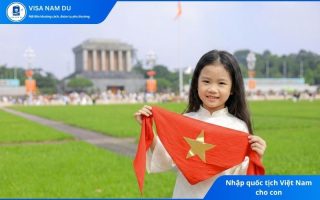 Nhập quốc tịch Việt Nam cho con